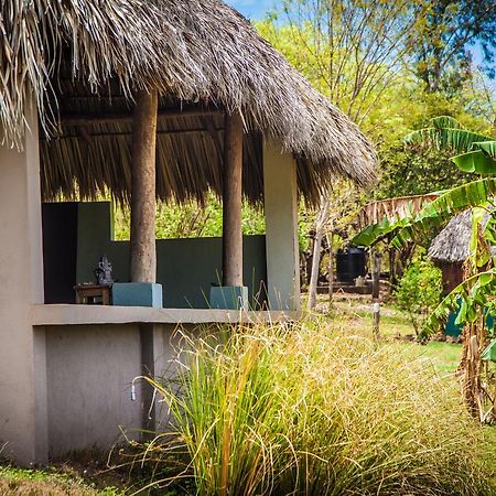 Coco Loco Eco-Resort Gemastepe Εξωτερικό φωτογραφία
