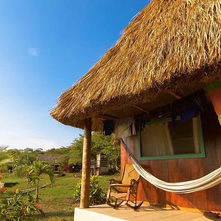 Coco Loco Eco-Resort Gemastepe Εξωτερικό φωτογραφία